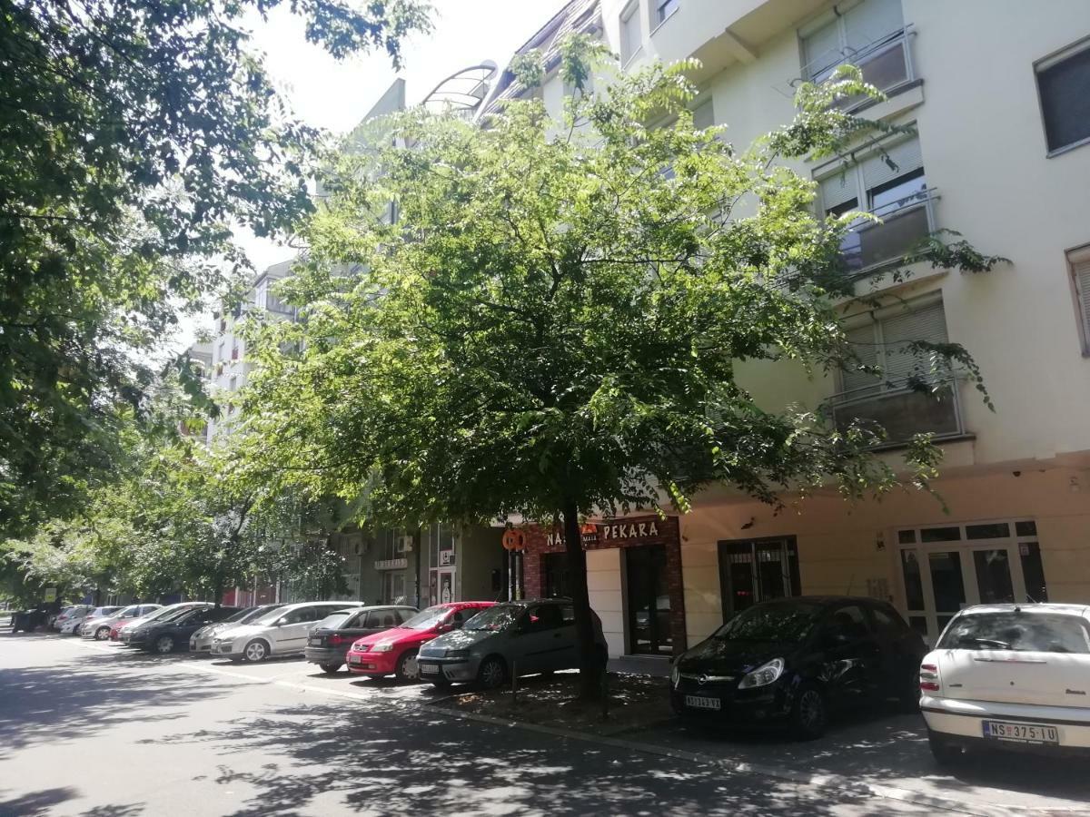 Two Kings Apartment Novi Sad Exteriör bild